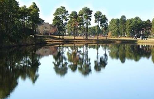 Plantation Lakes
